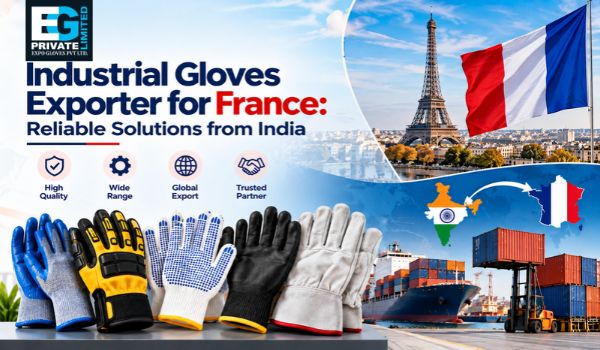 Export Industrial Gloves from India to France