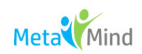 Metamind Training