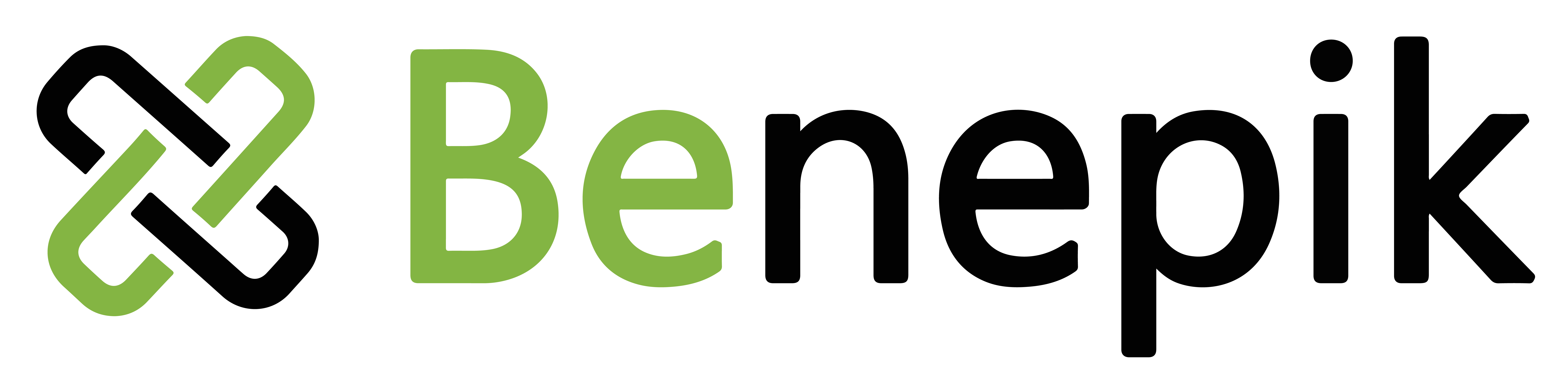 Benepik Technology Pvt Ltd