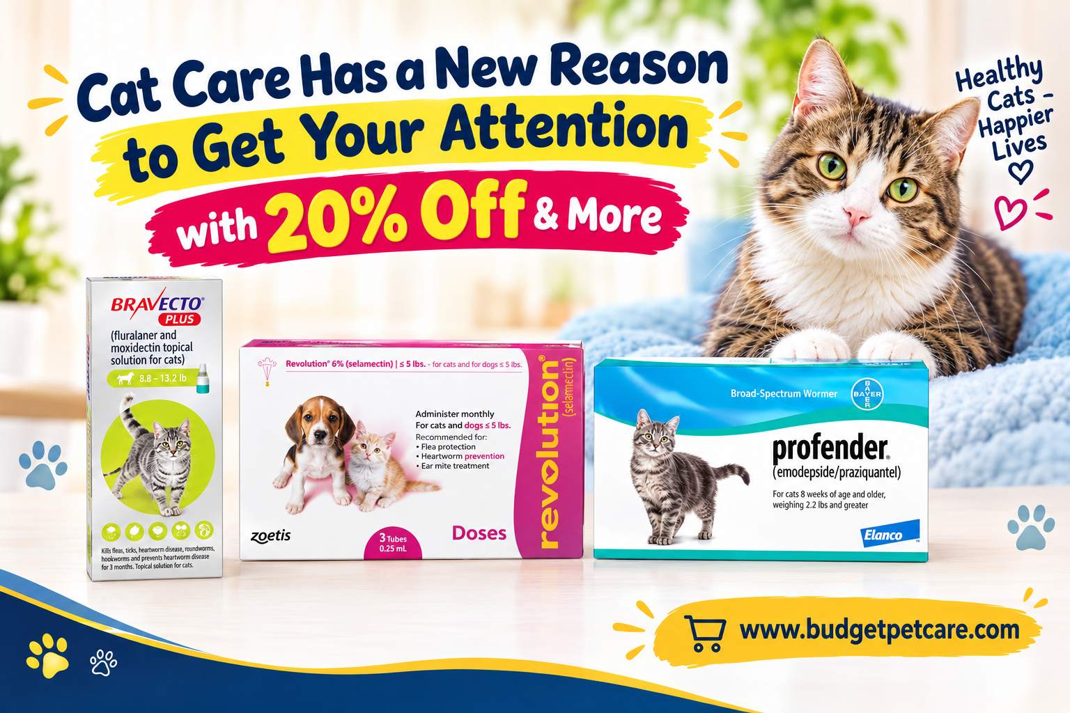 Cat Care Has a New Reason to Get Your Attention with 20% Off & More