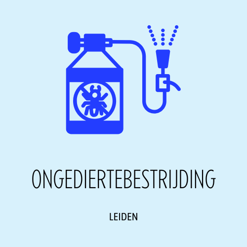 Leiden Ongediertebestrijding