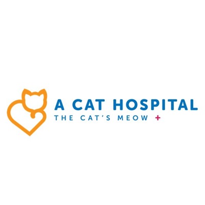 A Cat Hospital