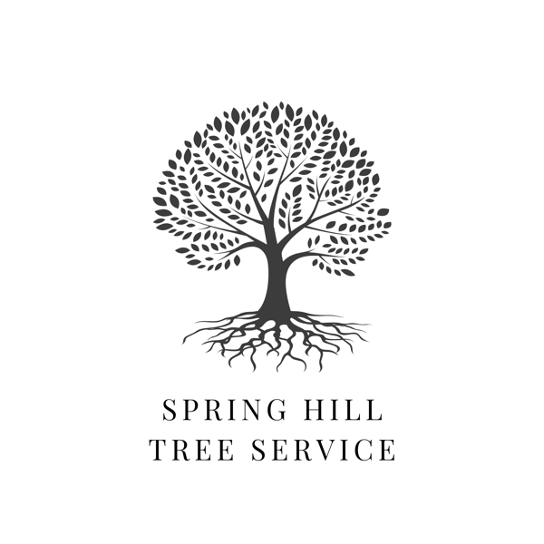Spring Hill Tree Pros