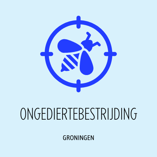 Groningen Ongediertebestrijding