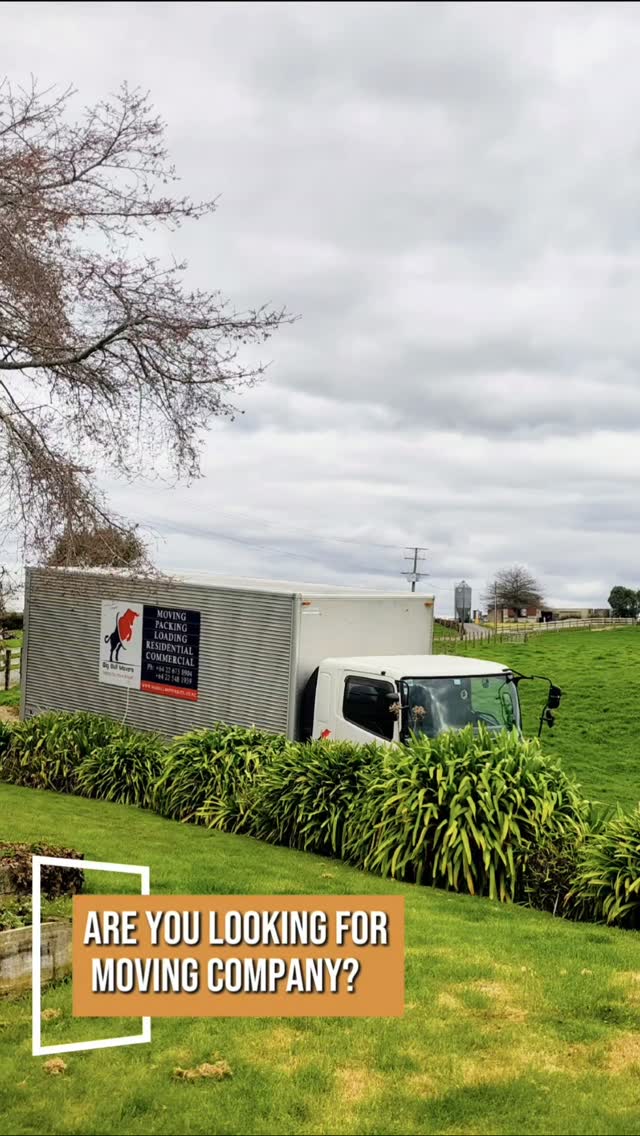 Planning a Local Move Across Auckland's North Shore