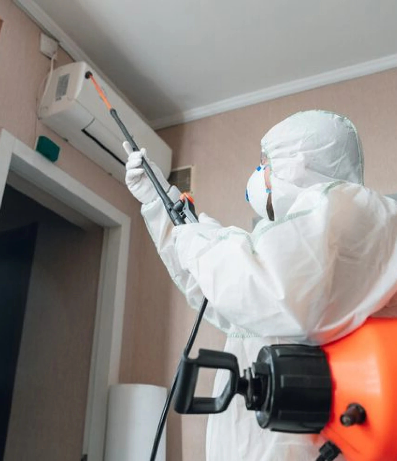 home mold remediation near me