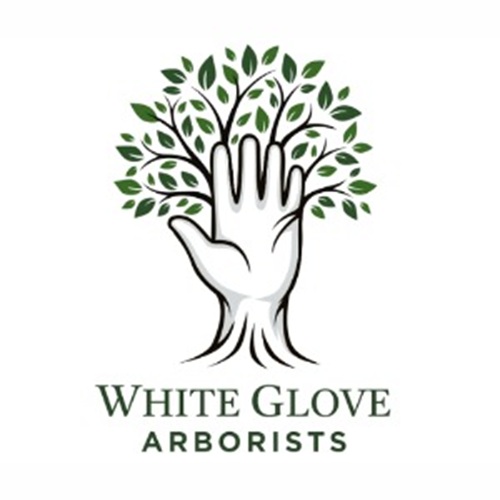 White Glove Arborists
