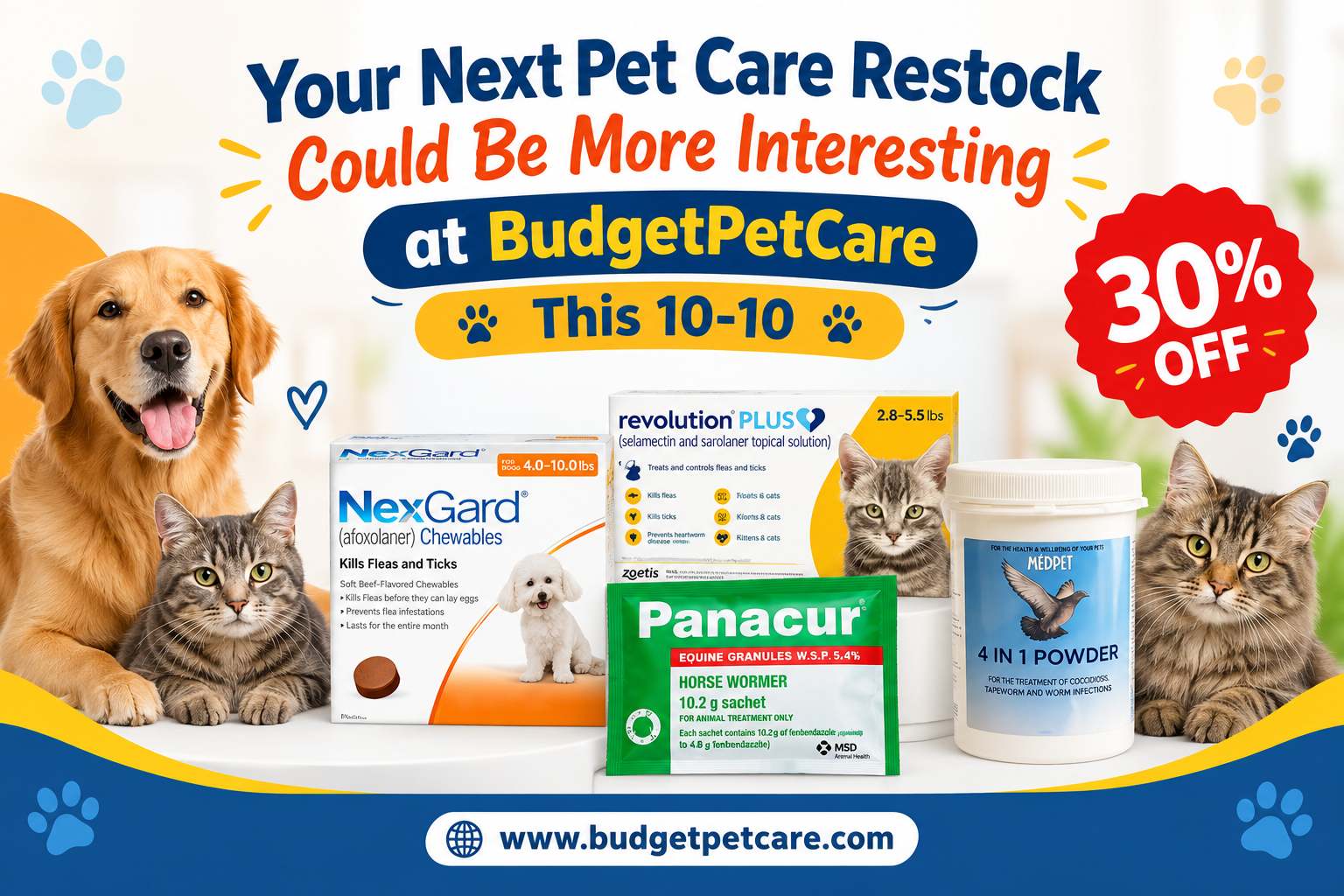 Your Next Pet Care Restock Could Be More Interesting at BudgetPetCare This 10-10